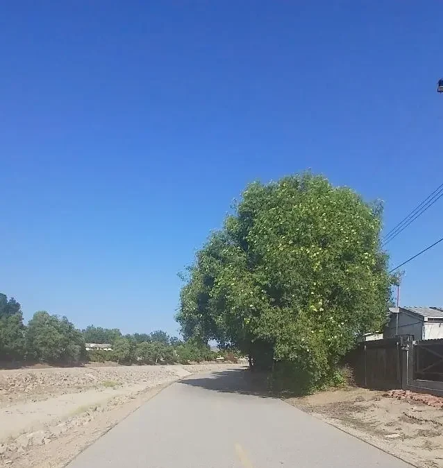 Another week going down!